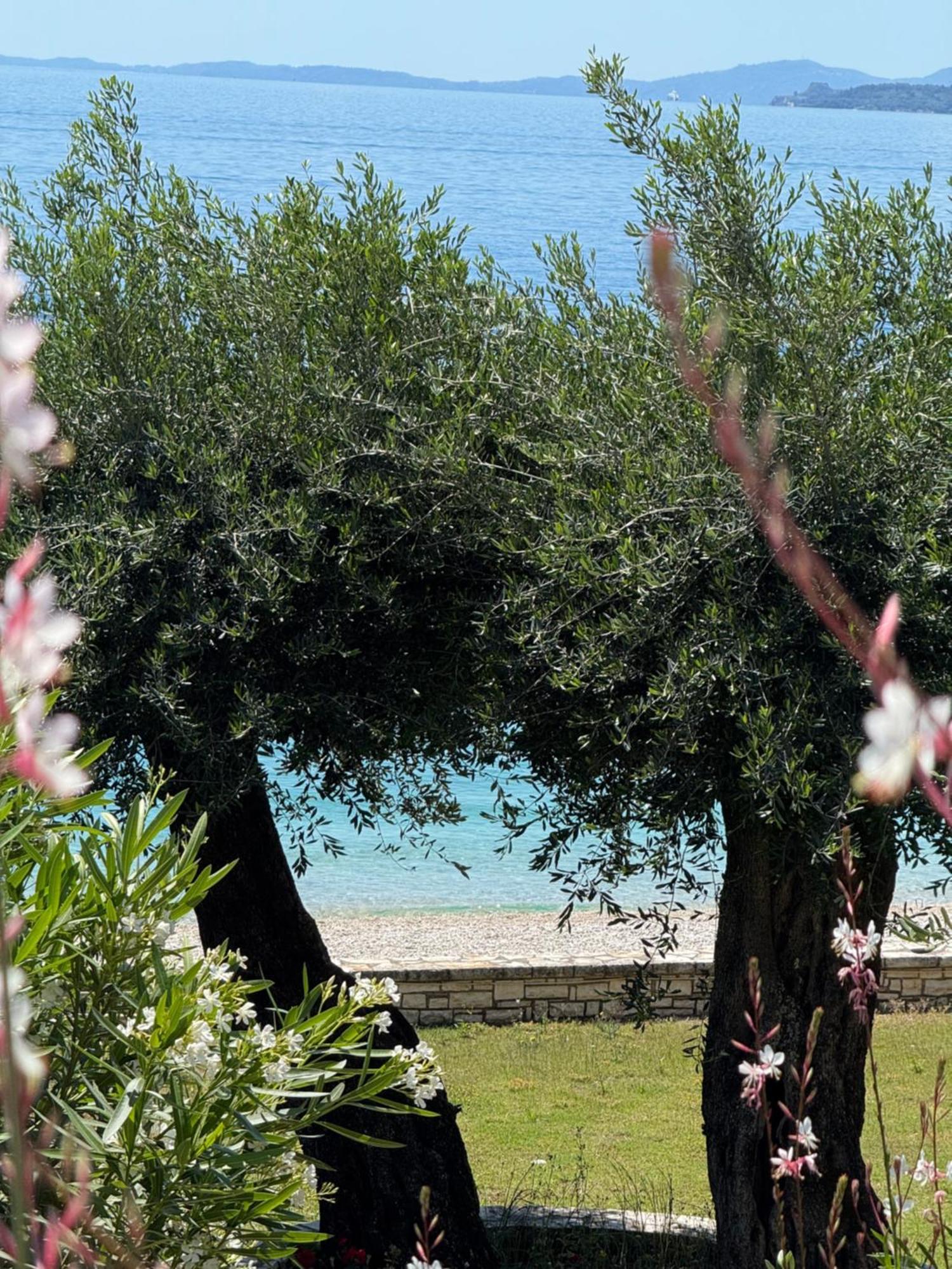Appartamento Nissaki Bay Nisaki  Esterno foto