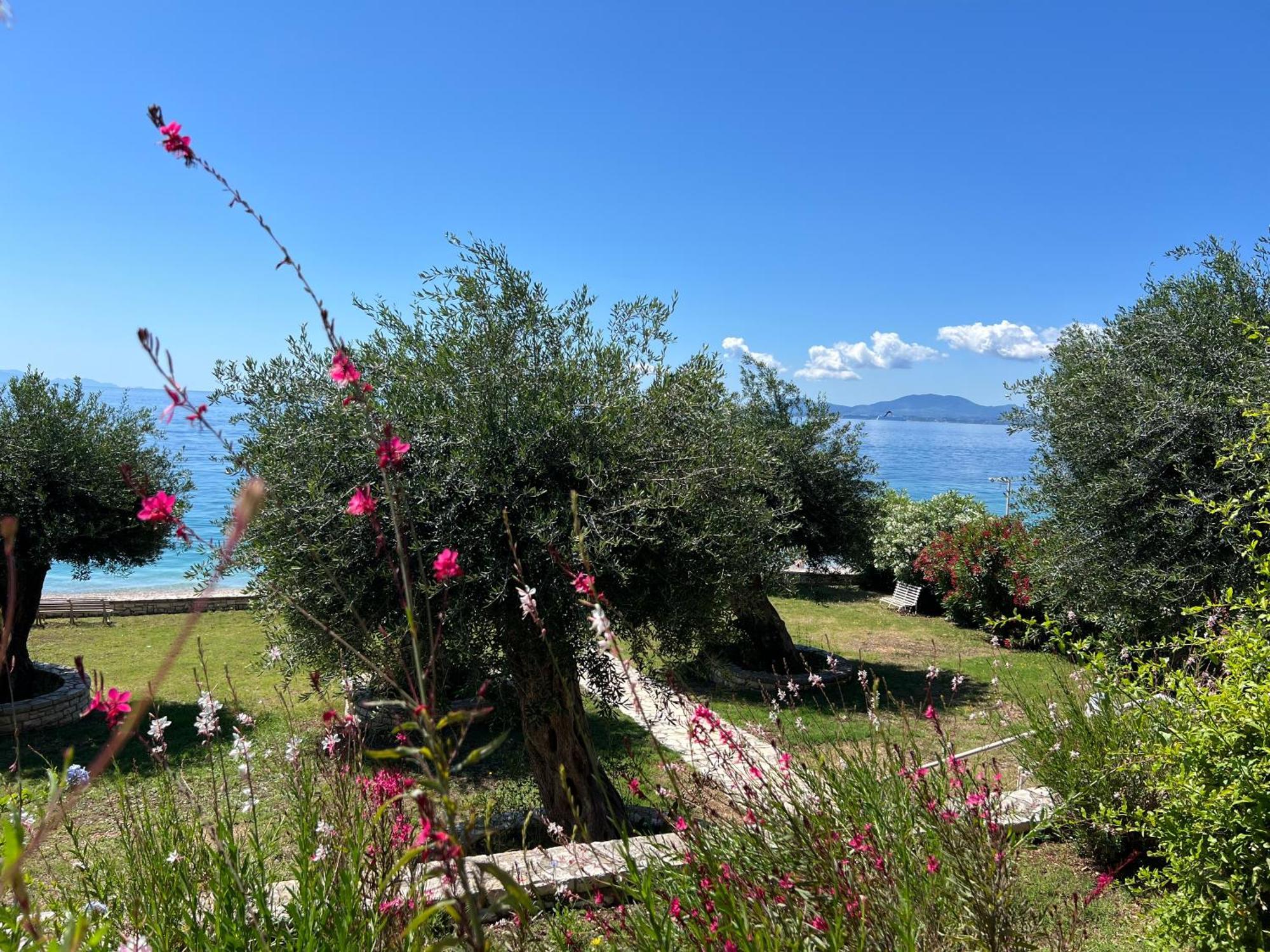 Appartamento Nissaki Bay Nisaki  Esterno foto